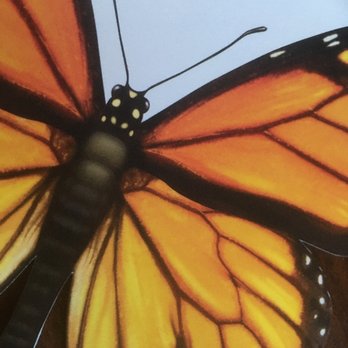 Las Baulines Nursery - Nurseries & Gardening Near Me - Bolinas, California