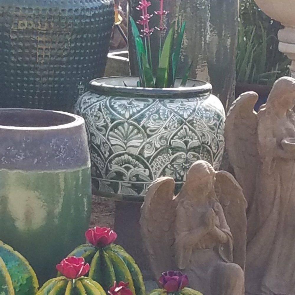 Potteryland LLC - Nurseries & Gardening Near Me - Chandler, Arizona