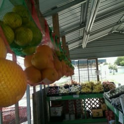 Odem Farmers Market - Cross btwn a lemon and an orange....only find in south Texas!