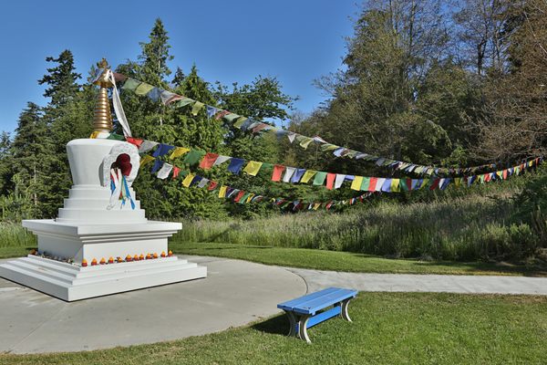 Earth Sanctuary by null