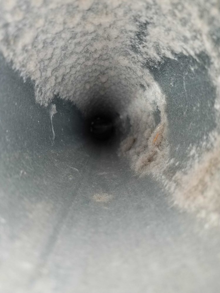 The Duct Cleaning Pros - veterans service organization in Roseville, CA