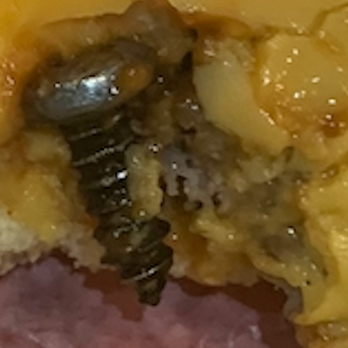 Wendy's - a closeup of a hot dog with cheese and a bug - Burgers Near Me - Castle Rock, Colorado