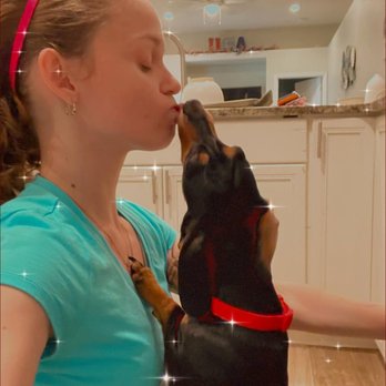 Sunshine Tender Loving Care - Yes we are dog friendly This little pup decided to give me love while I wiped down the oven. Too cute not to share! - Rockledge - Home Cleaning Near Me Sunshine Tender Loving Care - Yes we are dog friendly This little pup decided to give me love while I wiped down the oven. Too cute not to share! - Rockledge - Home Cleaning Near Me
