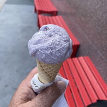 Salt & Straw - Honey Lavender, wow! - Ice Cream & Frozen Yogurt Near Me - Orlando, Florida Salt & Straw - Honey Lavender, wow! - Ice Cream & Frozen Yogurt Near Me - Orlando, Florida