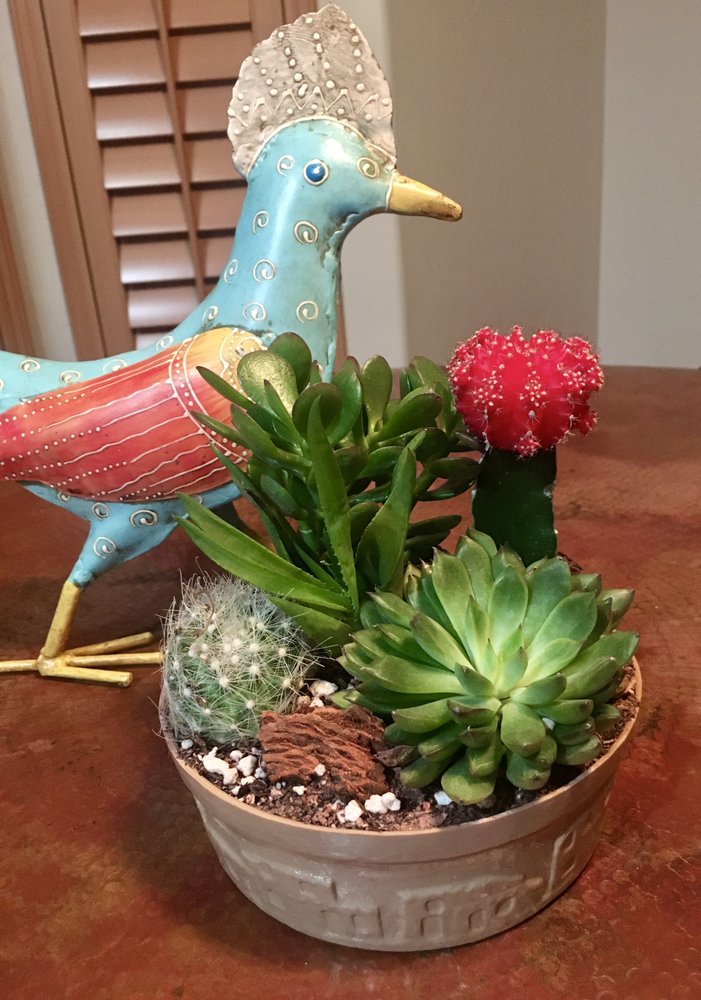 SPECIALTY PLANTS Updated September 2024 2840 Gist Rd, San Marcos