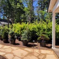 The Standard Design Group Nurseries