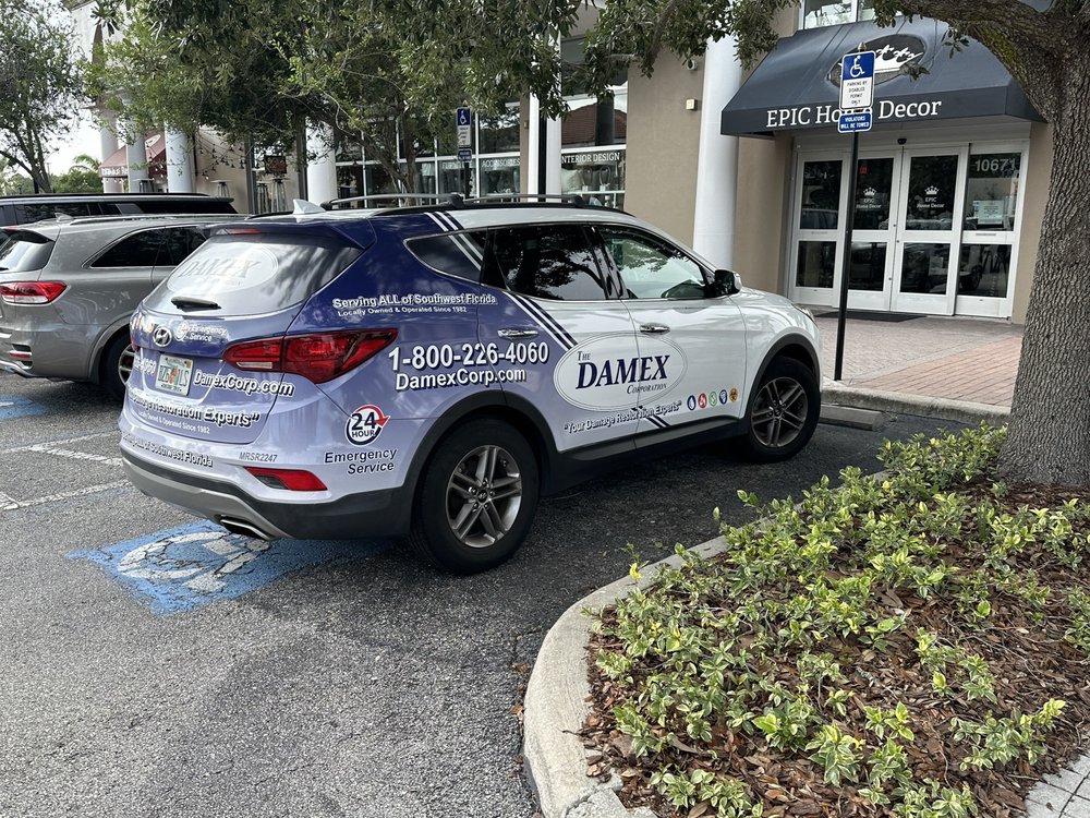 Slide of Damex Corporation