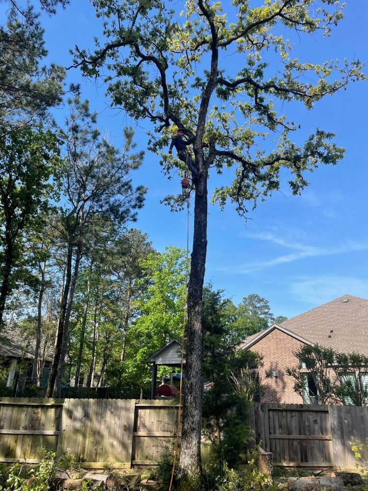 Slide of Axion Multi Services