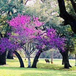 Lutherhill Ministries - Creation on the 155 acres