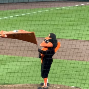 Baltimore Orioles - Orioles mascot The Bird - Professional Sports Teams Near Me - Baltimore, Maryland Baltimore Orioles - Orioles mascot The Bird - Professional Sports Teams Near Me - Baltimore, Maryland