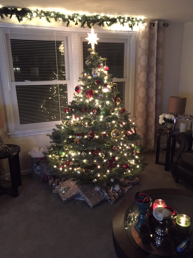 JUREK CHRISTMAS TREE FARM 14 Photos 6600 Strickler Rd, Clarence