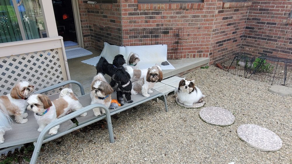 PAWSITIVELY SPOILED KOKOMO Updated October 2024 Kokomo, Indiana