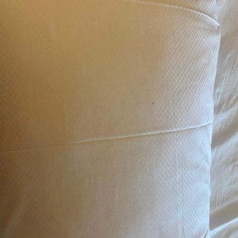 Delta Hotels by Marriott Chesapeake Norfolk - Pillow - Hotels Near Me - Chesapeake, Virginia Delta Hotels by Marriott Chesapeake Norfolk - Pillow - Hotels Near Me - Chesapeake, Virginia
