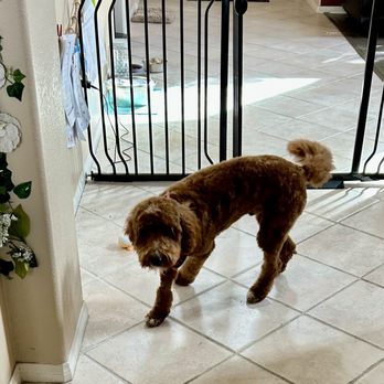 Stella's Pet Spa - Pet Groomers Near Me - Corona, California Stella's Pet Spa - Pet Groomers Near Me - Corona, California