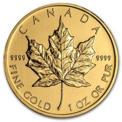 Galileo Coin Shop