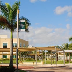 NSU University School