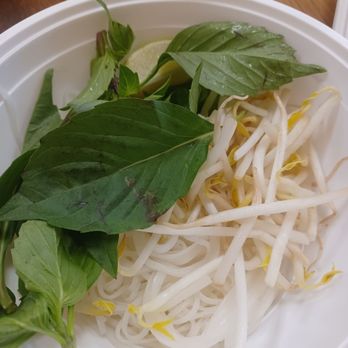 The Rolling Spring Roll - Pho Ga (chicken) - Vietnamese Near Me - Commack, New York The Rolling Spring Roll - Pho Ga (chicken) - Vietnamese Near Me - Commack, New York