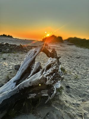 Sandy Cove Inn and Red Door Vacation Rentals by null