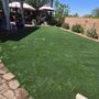 Photo of AZ Turf King