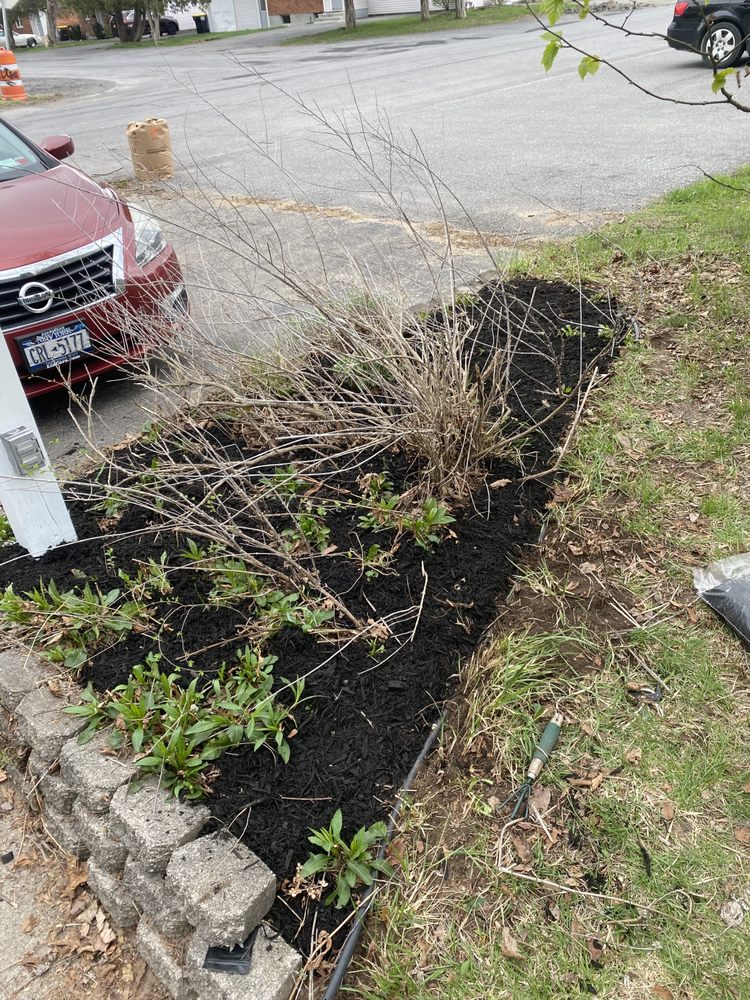 Slide of All For 1 For All