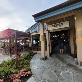 The Banyan Tree - Seafood Near Me - Kapalua, Hawaii The Banyan Tree - Seafood Near Me - Kapalua, Hawaii