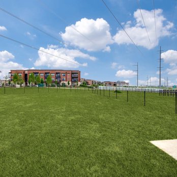 August Hills - Dog Park - Apartments Near Me - Irving, Texas