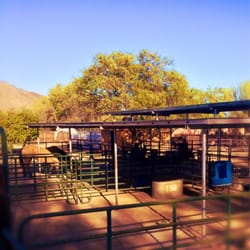 Shoofly Stables