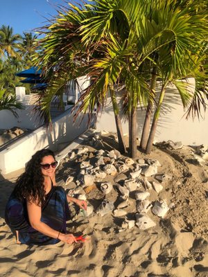 Sand Castle on the Beach by null