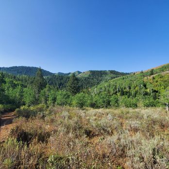 Teton Mountain Ranch - One side of the national park, Targhee I believ. - Tours Near Me - Victor, Idaho Teton Mountain Ranch - One side of the national park, Targhee I believ. - Tours Near Me - Victor, Idaho