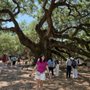 Photo of Angel Oak