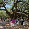 Angel Oak gift card
