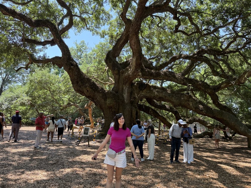 Angel Oak Logo