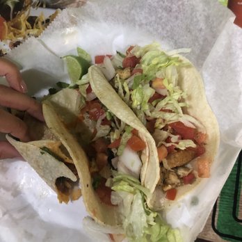 Taco Shop - El Al Pastor Taco , Chicken Taco - Mexican Near Me - Hialeah, Florida