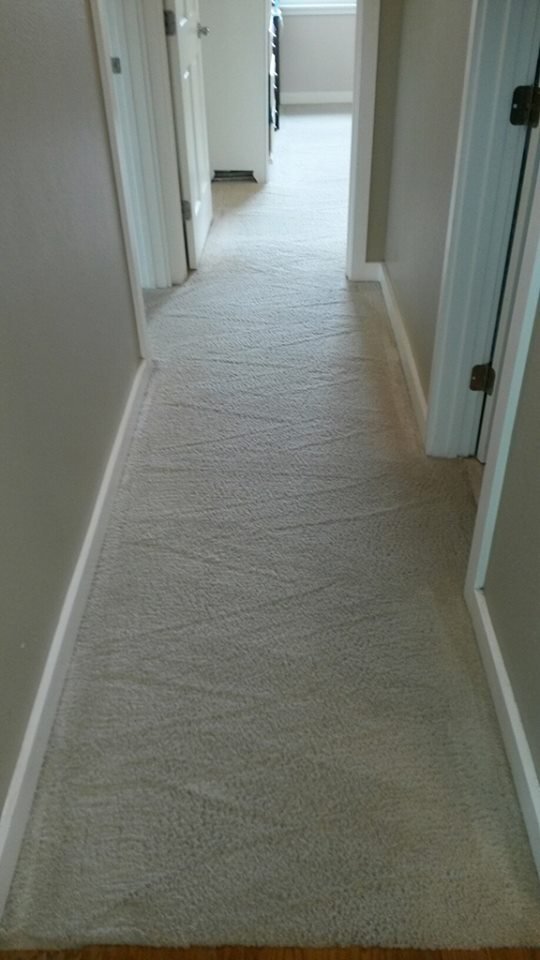 SAFETY CLEAN CARPET CLEANING Updated May 2024 South Padre Island