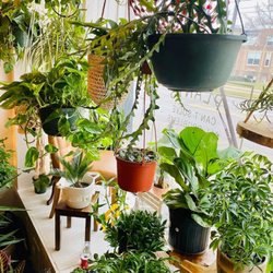 River Plant Co.