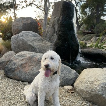 Native Falls Campground - Beautiful right? Both the campground and our baby of course! - Campgrounds Near Me - Temecula, California
