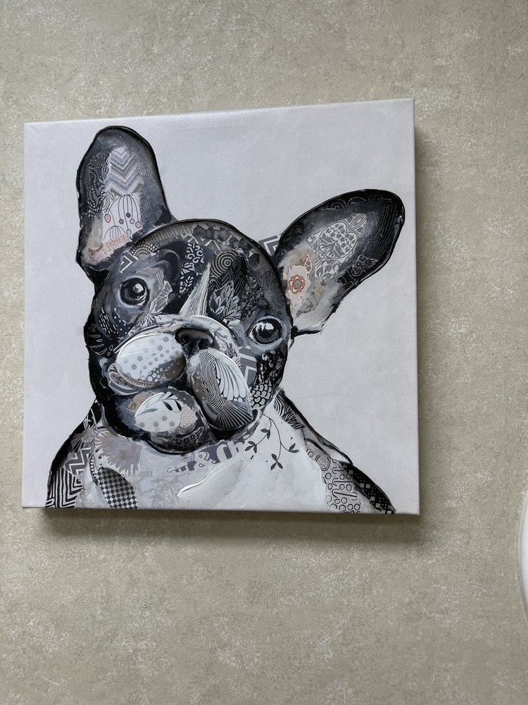 Punta Gorda Animal Hospital Image
