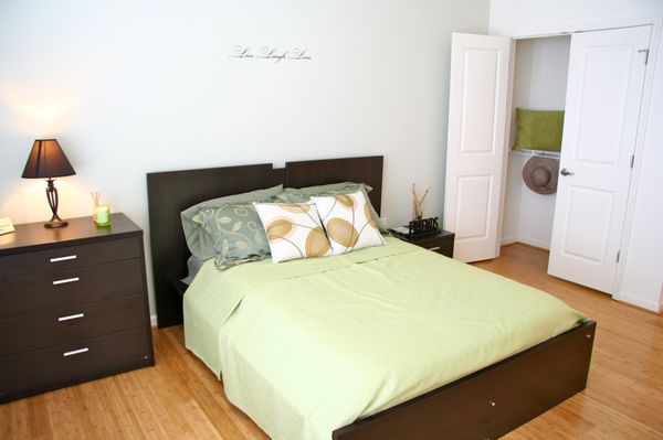 Festival Park by null