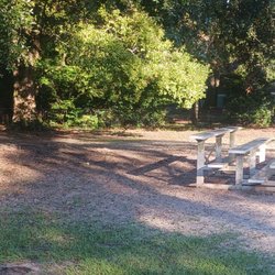 Isle of Palms Bark Park - Bleacher seating in case your dog wants to feel like they're performing