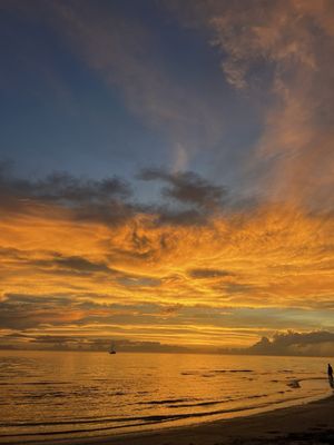JW Marriott Marco Island Beach Resort by null