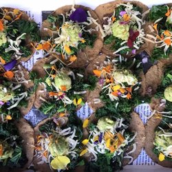 La Botana Taco Bar - SPRING IS HERE!