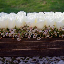 Flower Power Miami - Our beautifully classic Eleganza arrangement holds 2 dozen roses