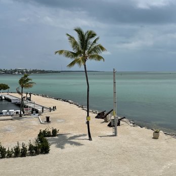 Sandbar On Tap - a palm tree on the beach - Wine Bars Near Me - Islamorada, Florida