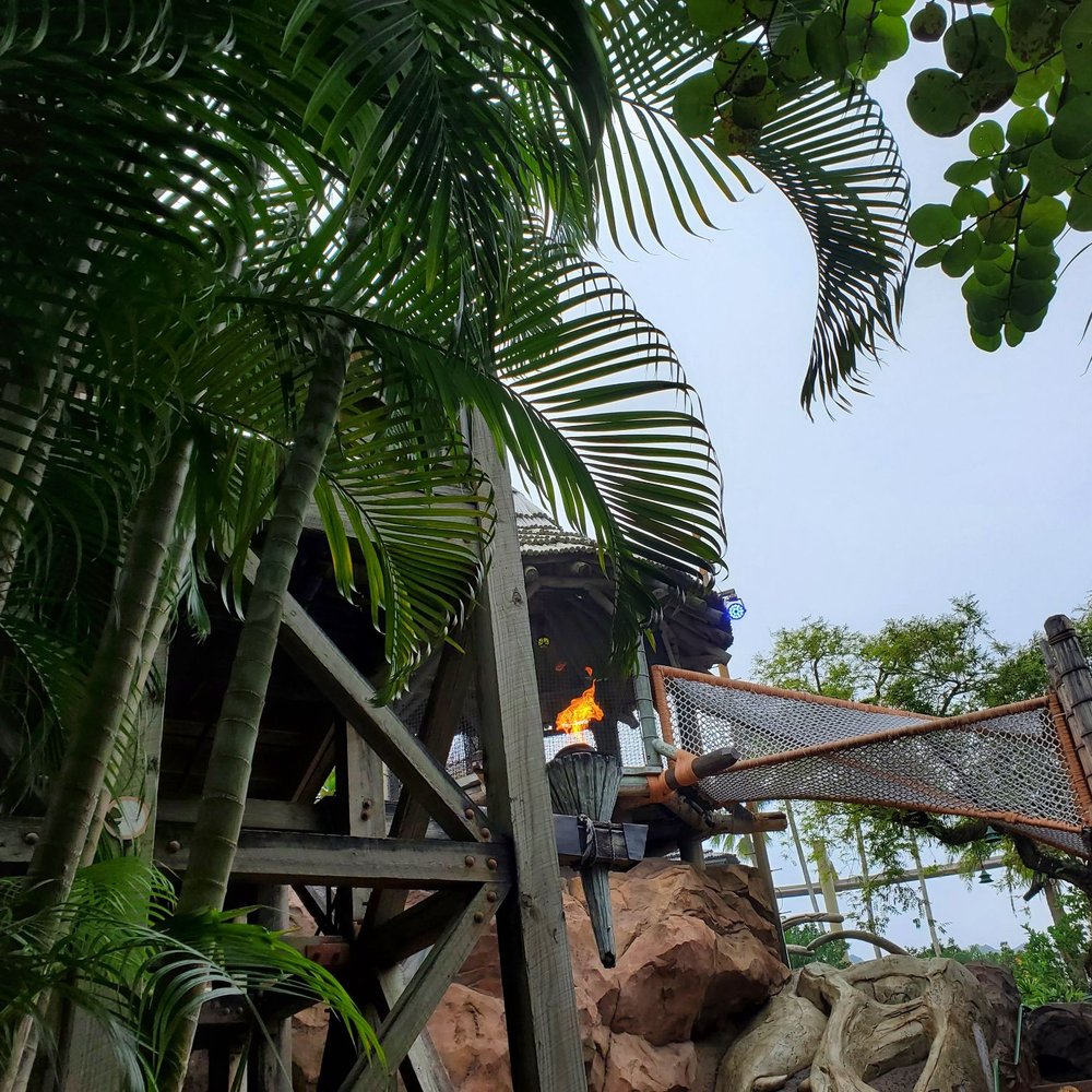 Pteranodon Flyers - Amusement Parks Near Me - Orlando, Florida Pteranodon Flyers - Amusement Parks Near Me - Orlando, Florida