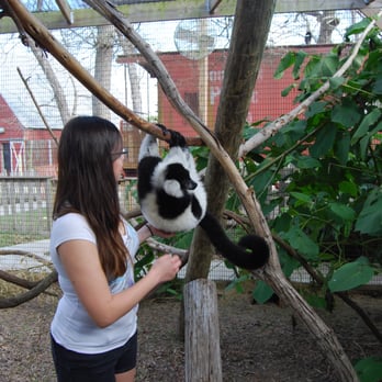 The Texas Zoo - Zoos Near Me - Victoria, Texas The Texas Zoo - Zoos Near Me - Victoria, Texas