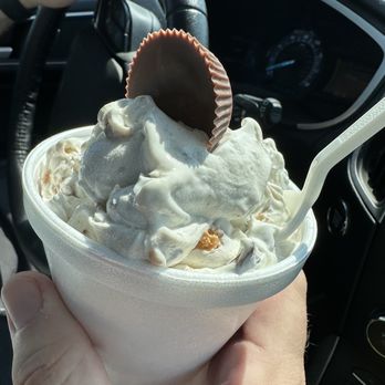 LUCY'S VEDIE TWIST - Updated December 2025 - 20 Photos & 22