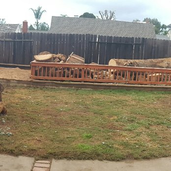 Diamond Arborist Service - One more day left to clean up and grind, but so far amazing work! - Tree Services Near Me - Laguna Hills, California Diamond Arborist Service - One more day left to clean up and grind, but so far amazing work! - Tree Services Near Me - Laguna Hills, California