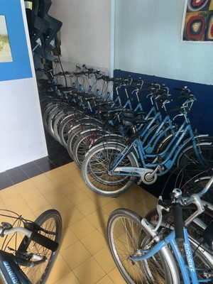 Born Bike Tours Barcelona - Enjoy Biking by null