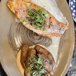 Nuovo Chicago - Red snapper with fingerling potatoes - really good.