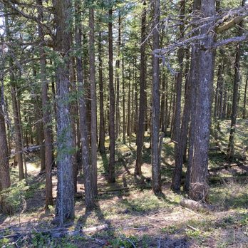 Moran State Park - Parks Near Me - Eastsound, Washington